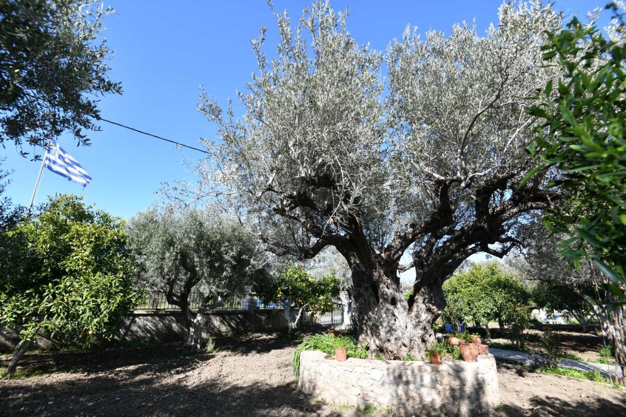 Villa Kavalino Kolymbia Buitenkant foto
