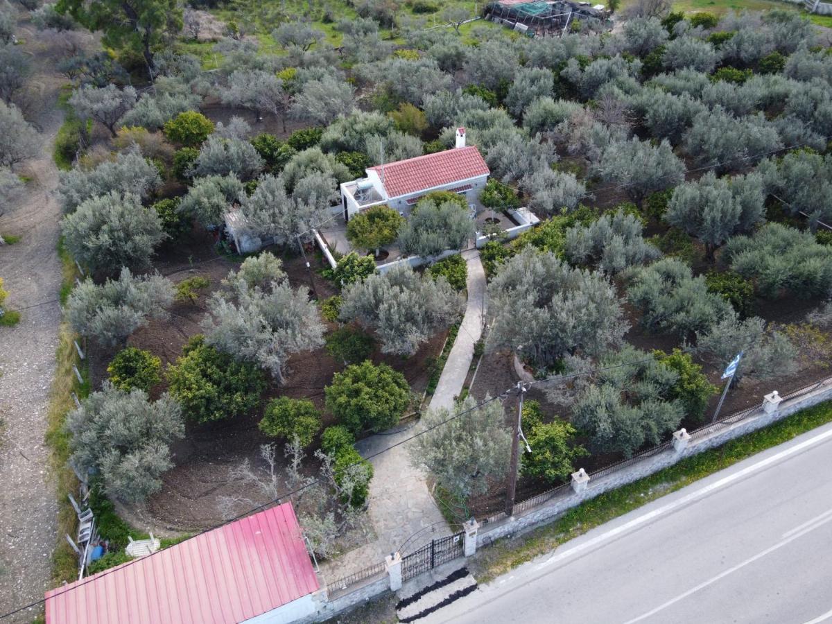 Villa Kavalino Kolymbia Buitenkant foto